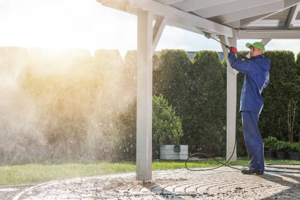  Vassar, MI Pressure Washing Pros