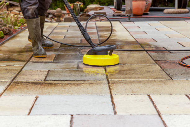 Best Driveway Pressure Washing  in Vassar, MI