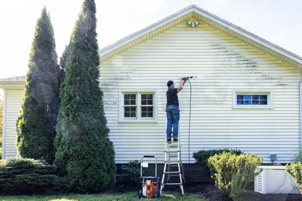 Best Sidewalk and Walkway Cleaning  in Vassar, MI