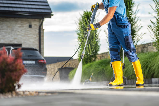 Best Patio and Deck Pressure Washing  in Vassar, MI